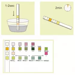 Τεστ ουρολοιμωξης 2