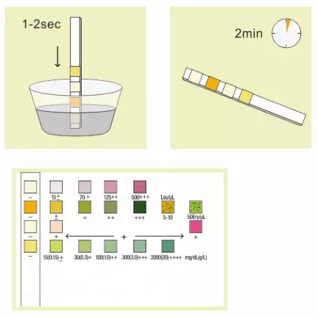 Urinary tract infection test