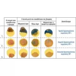 AMA RUT CLO Hpylori in biopsy specimens 24 test/kit 2
