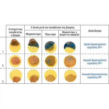 AMA RUT CLO Hpylori 24 test/kit