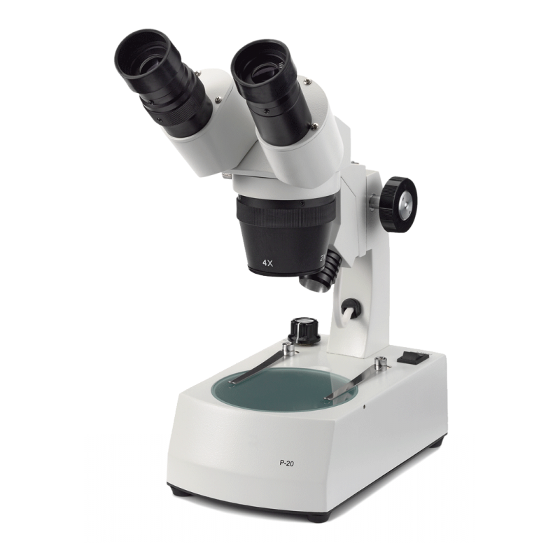 Euromex stereoscopes