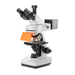 Fluorescence microscopes