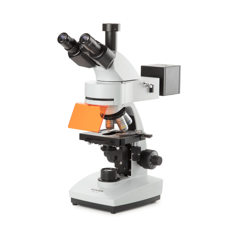 Fluorescence microscopes