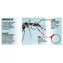 Dengue fever antigen test 1 test/kit 2