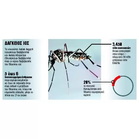 Test αντιγόνου Δάγκειου πυρετού