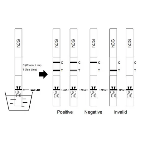 Τεστ εγκυμοσυνης HCG 50 ταινίες