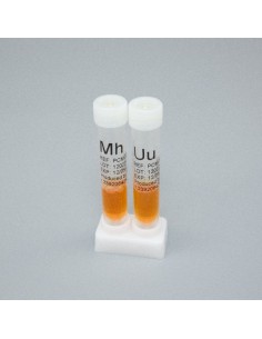 ΜΥΚΟΠΛΑΣΜΑ/ΟΥΡΕΟΠΛΑΣΜΑ 10test/kit